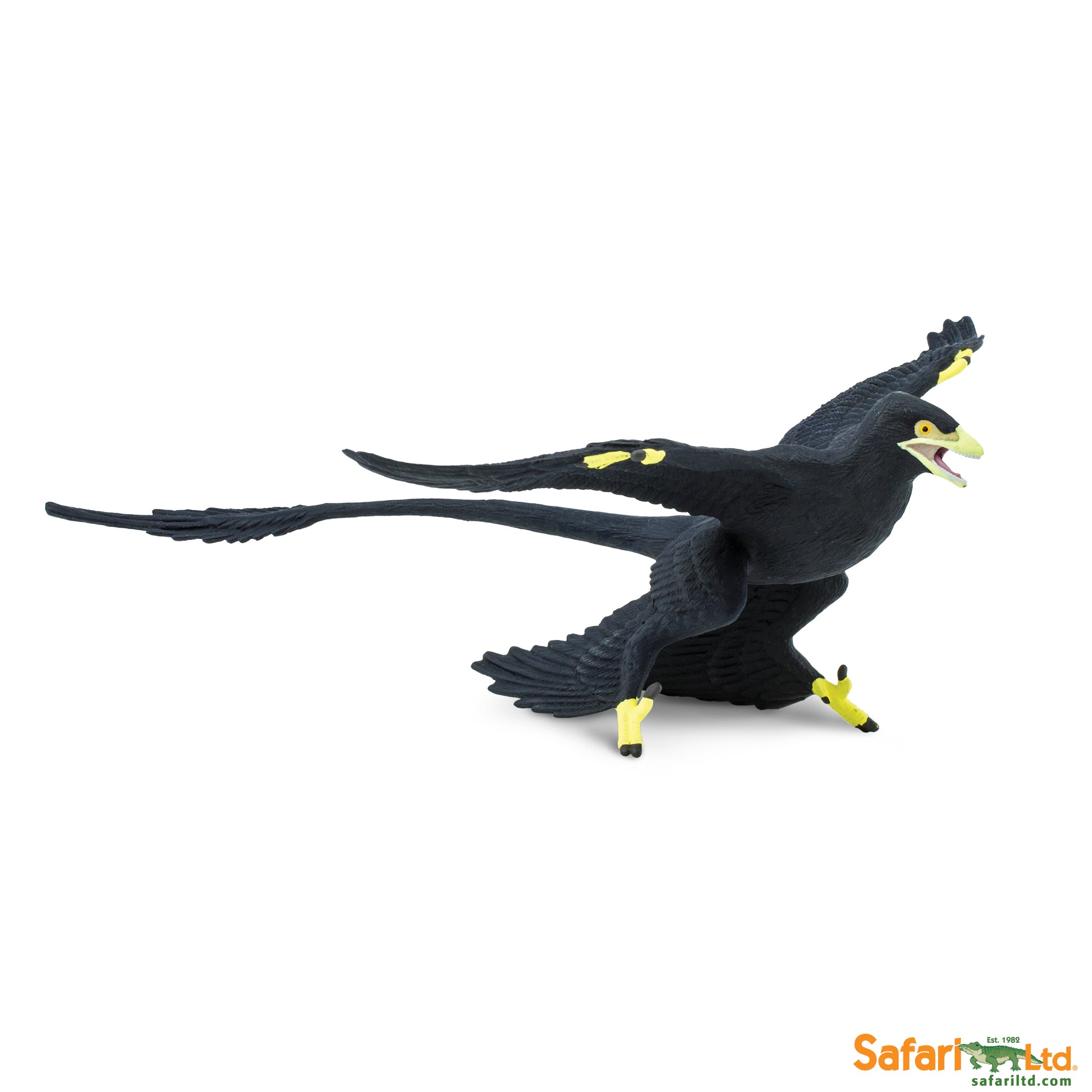 Microraptor