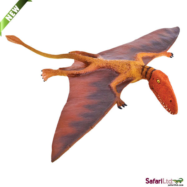 DIMORPHODON