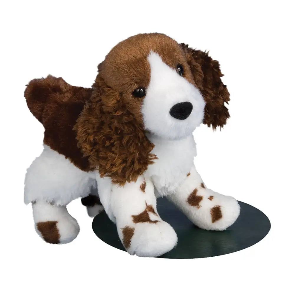 Flair Springer Spaniel