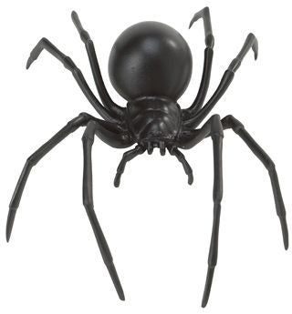 BLACK WIDOW SPIDER