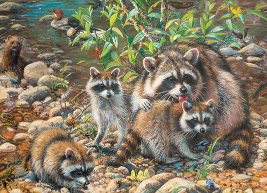 Raccoon Family 350pc Family