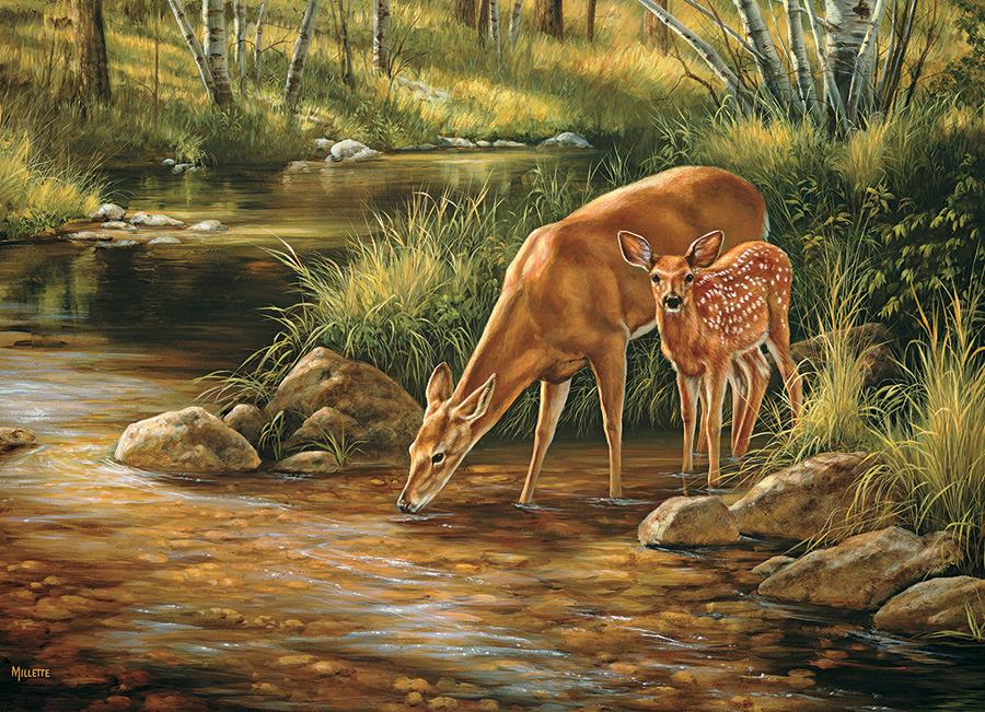 Deer Family 350pc