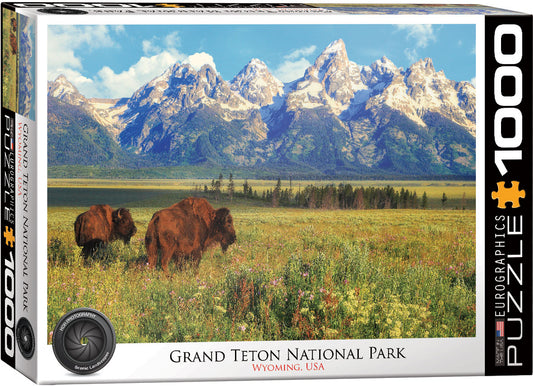 Grand Teton National Park 1000pc