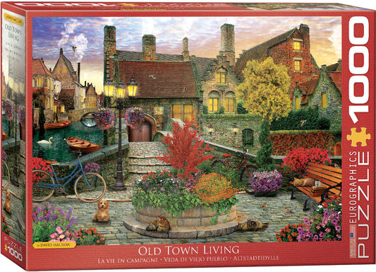 Old Town Living 1000pc