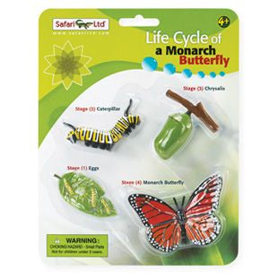 Life Cycle of a Monarch Butterfly