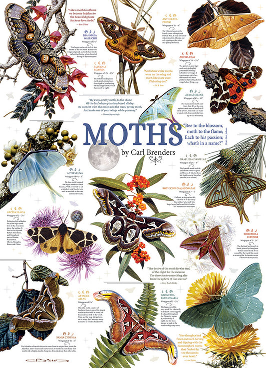 Moth Collection 1000pc