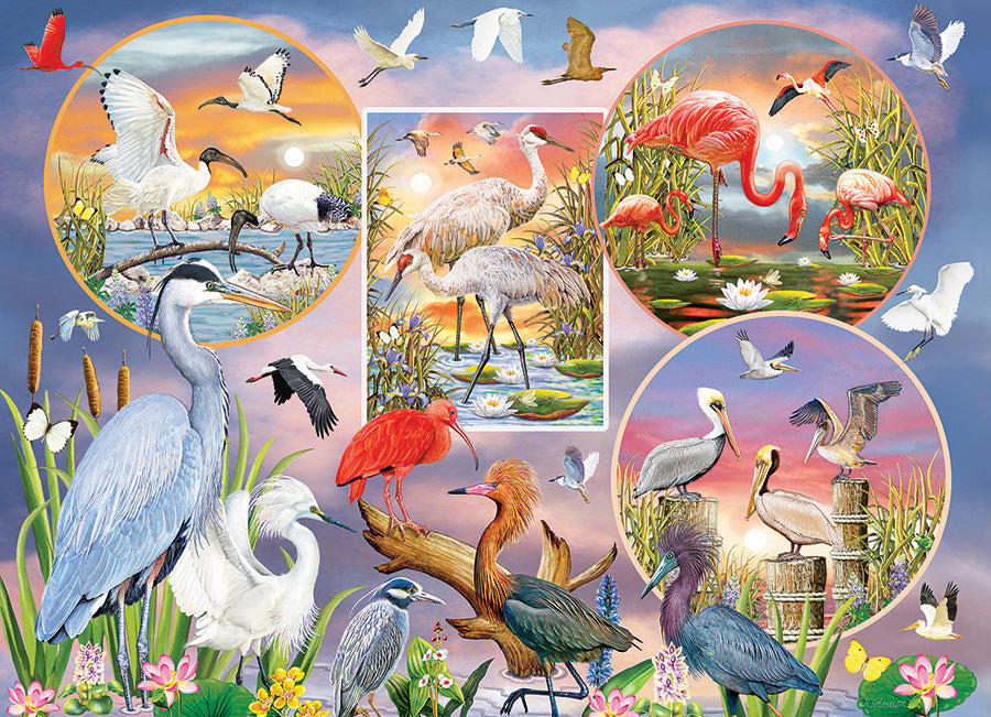 Waterbird Magic 1000pc