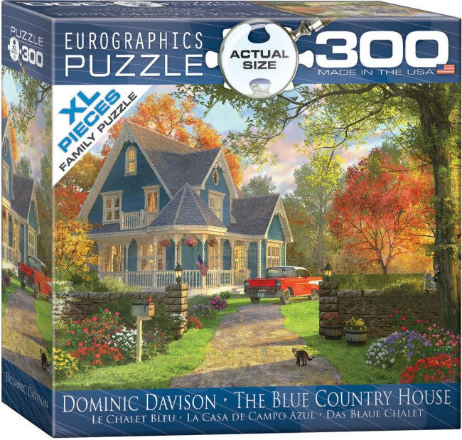 Blue Home 300pc