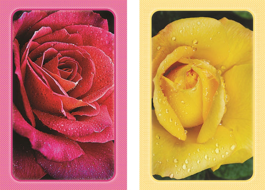 Roses Jumbo Card Set