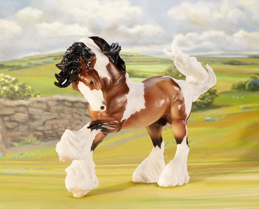 GYPSY VANNER 1/9