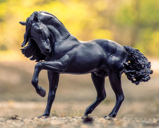 Sjoerd Friesian Stallion 1/9