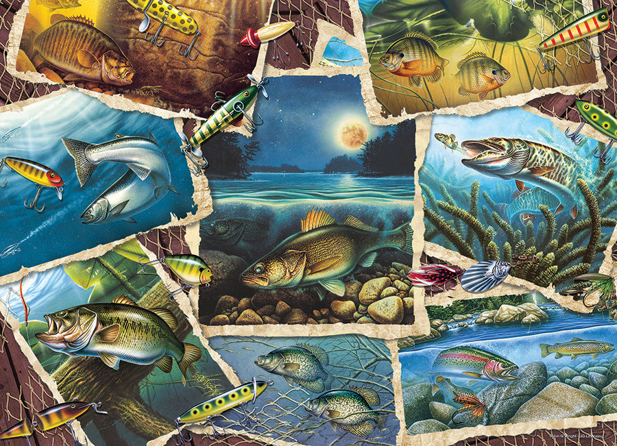 Fish Pics 1000pc