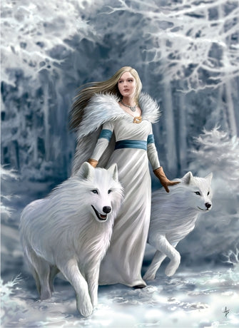 Anne Stokes Winter Guardians 1000pc