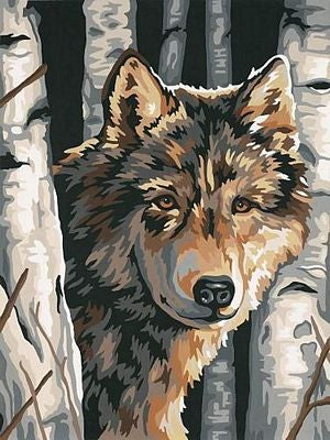 WOLF AMONG BIRCHES 9X12"