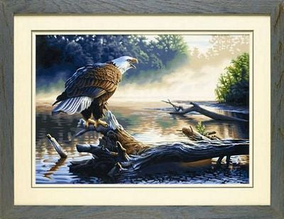 EAGLE HUNTER 20X14"