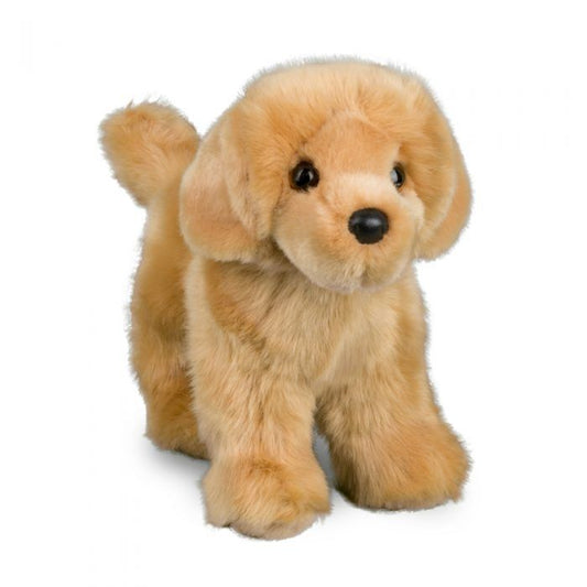 Chap Golden Retriever