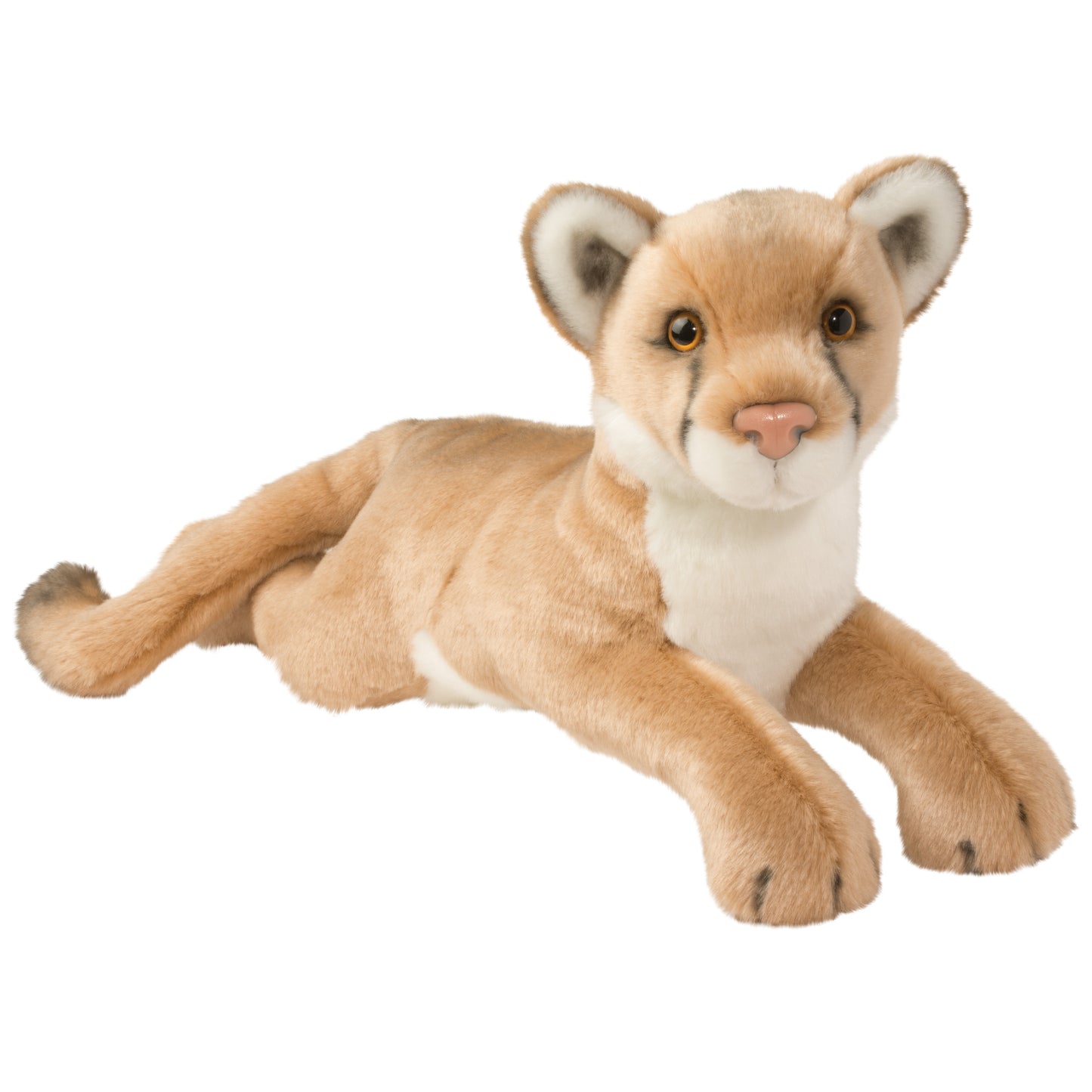 Kelso Mountain Lion (Cougar)