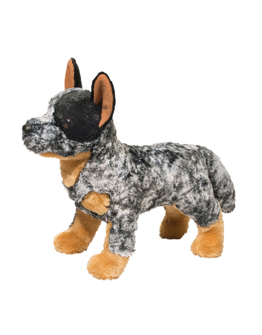 Bolt Australian Cattle Dog