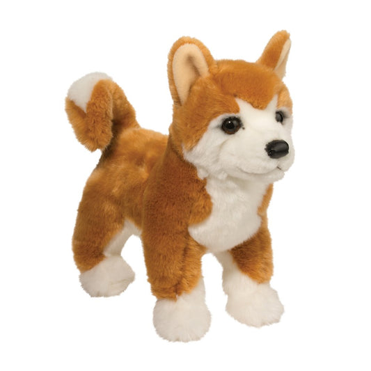 Dunham Shiba Inu