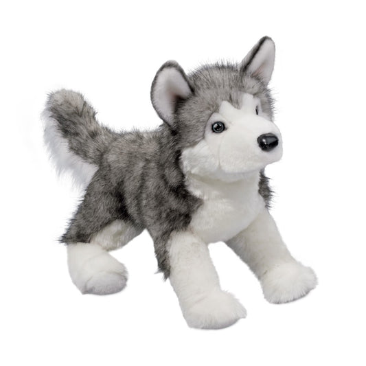 Lobo Husky