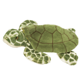 Toti Turtle