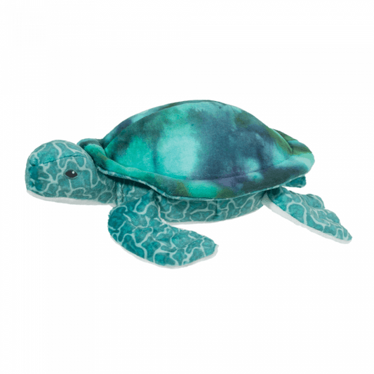 Coast Turtle