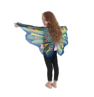 Peacock Wings