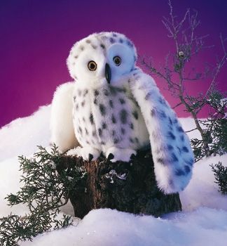 SNOWY OWL