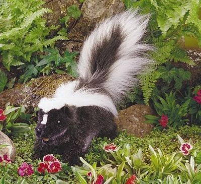 SKUNK