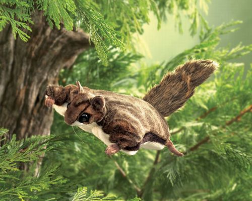 FLYING SQUIRREL