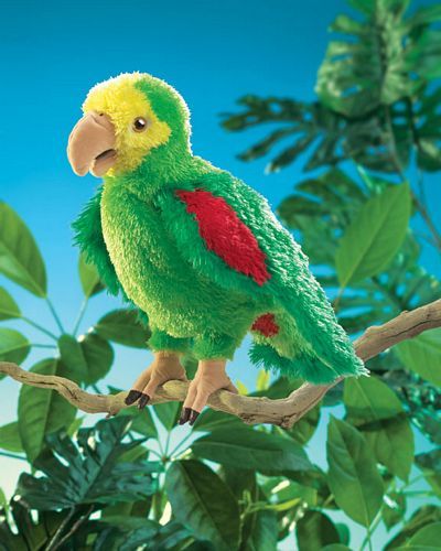 AMAZON PARROT