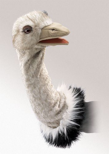 OSTRICH