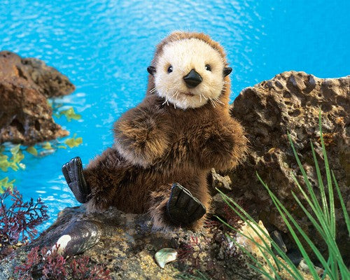 BABY SEA OTTER