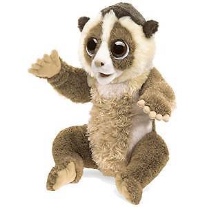 Slow Lorris