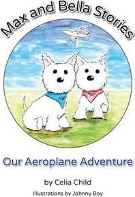 Our Aeroplane Adventure