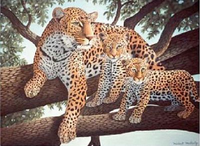 AFRICAN LEOPARD & CUBS