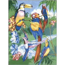 TROPICAL BIRDS