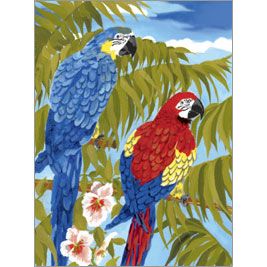 PARROTS