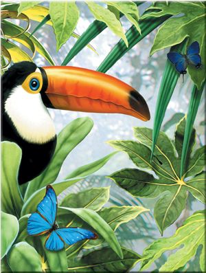 JUNGLE TOUCAN