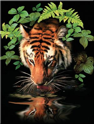 THIRSTY TIGER