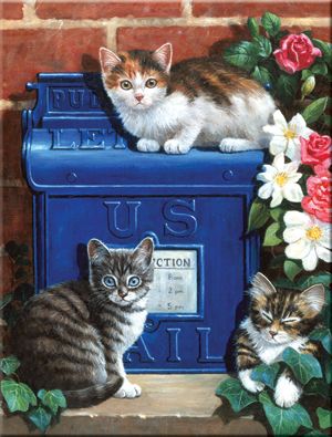 MAILBOX KITTENS