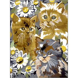 KITTENS & DAISIES