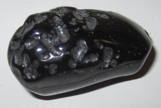 ROUGH TEKTITE