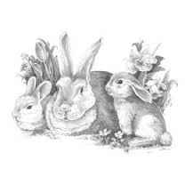 Sketching Made Easy  Bunnies