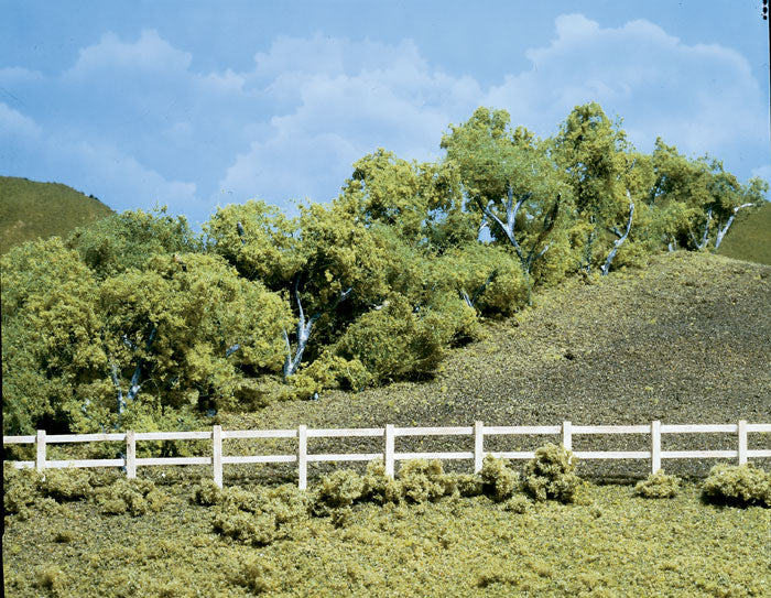 Hedge Row Scene