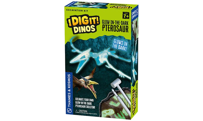 I Dig It! Glow-in-the-Dark Pterosaur