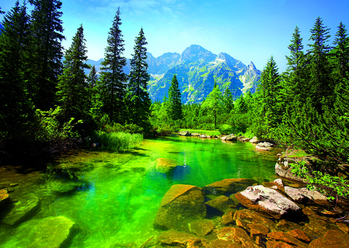 Tatra Mountains 500pc.