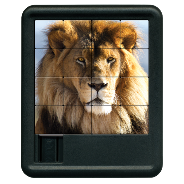 Lion Sliding Tiles