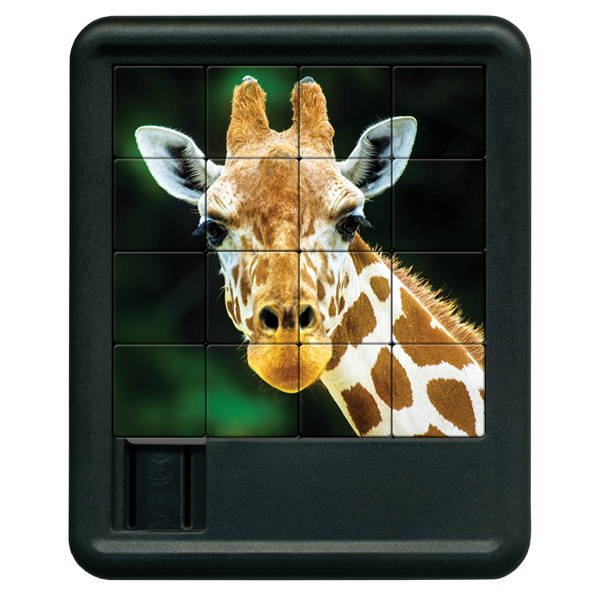 Giraffe Sliding Tiles