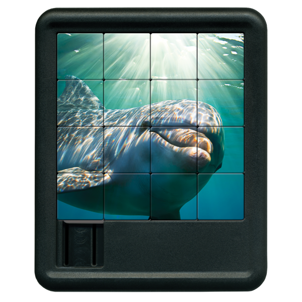 Dolphin Sliding Tiles